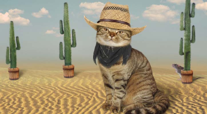 Drawing of a cat dressed as a cowboy