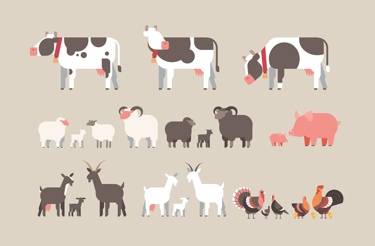 farm animal cow goat pig turkey sheep chicken icons different domestic animals collection farming concept flat horizontal vector illustration