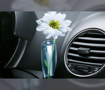 Car interior with small vase attached with a white daisy in